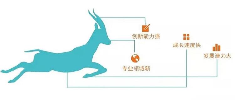 全年资料大全13983